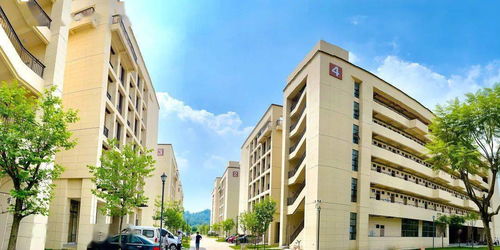 清远首所本科院校明日迎新，教育新篇章开启