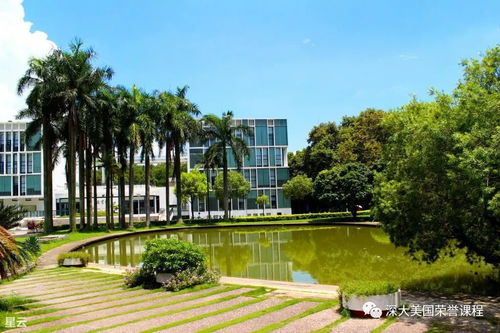 九月伊始，开学也要加油鸭