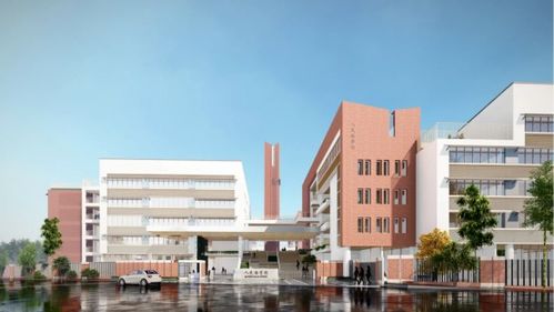 深圳市龙华区第二实验学校教育集团华美校区明天学院探索素质教育新路径