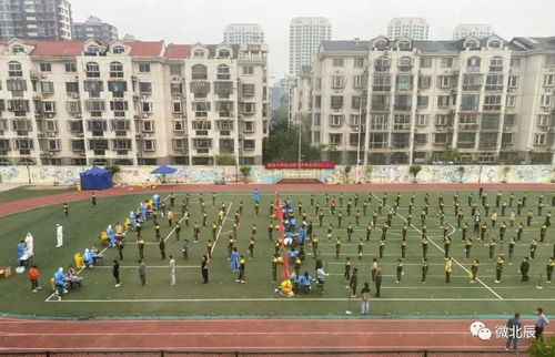 北辰区196所学校明日复课，新学期安全有序开启