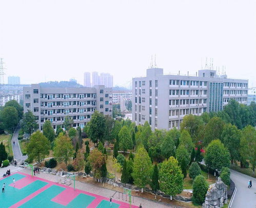 潇湘职业学院2022年单独招生简章